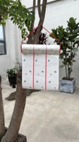 Non toxique Max Strength Fly Catcher Giant Fly Traps Sticky Hanging Fly Trap Roll