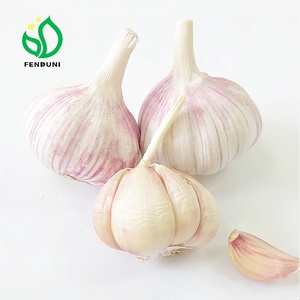 <span class=keywords><strong>2019</strong></span>' de alta calidad de ajo blanco normal de almacenamiento en frío - Product Image 1