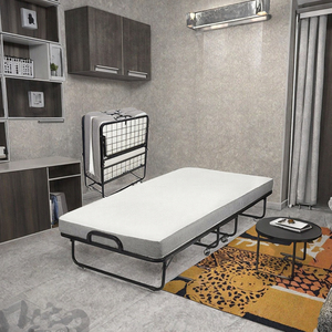 Zehao Modern <b>Portable</b> Foldable Bed <b>Mattress</b> Metal Frame Hospitals Hotels Schools Living Room -Apartment Home Furniture Single - Product Image 3