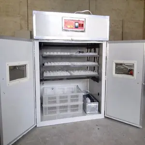 Incubateur d'œufs automatique Pigeon, capacité de 528 unités, avec certification Ce, vente en gros