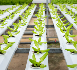 Système hydroponique d'aquaponie verticale NFT intelligent d'intérieur de JIapei dans Superfarm - Product Image 4