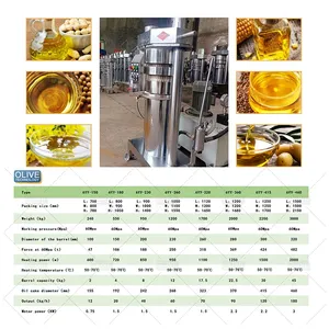 Máquina comercial de prensa de aceite Máquina de extracción de aceite de cáñamo Máquina para prensado en frío de aceite de oliva