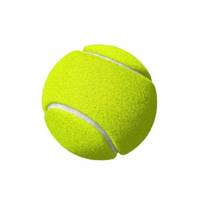 Ballons de padel de compétition OEM personnalisés, prix de gros, export à prix raisonnable