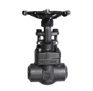 Manchon de raccordement en acier forgé A105 de 1'' pour robinet à opercule, classe 800 lb, filetage NPT, étanchéité par bride, pour eau, huile, gaz, Z61Y, type V - Product Image 5