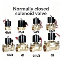 Vanne Solénoïde 2/2 Voies 2W200 Corps en Laiton G1/4 Normalement Fermée/Ouverte 12V 24V 220V AC DC pour Eau, Huile, Air