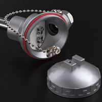 WZPK-230 PT100 Sensor Suhu Detektor Termal Pemancar Berpelindung Suhu Tinggi 4-20mA/0-10V