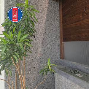 BAIDI BD-SXS01 ผลิตภัณฑ์เคลือบผิวเรซิ่นกันน้ำ ทนทาน สำหรับหินล้าง ขนาดอนุภาค 1-3 มม./3-5 มม. จากโรงงานโดยตรง - Product Image 5