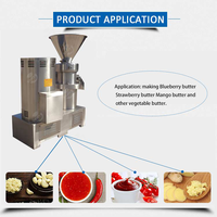 Goede Kwaliteit Groente Fruit Tomaat Saus Making Machine Met 100 Kg/u Capaciteit