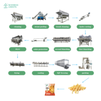 Línea de Producción Industrial Automática de Papas Fritas con Más de 30 Años de Experiencia Profesional