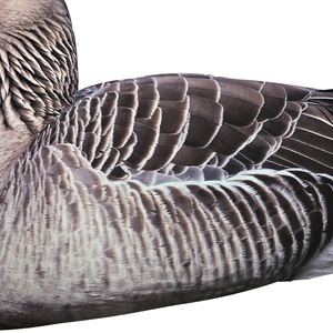 आउटडोर शिकार फ्लैट्स कैनाडा मानक सिल्हूट - Product Image 5