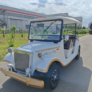 Vehículo Eléctrico de 6 Plazas con Diseño Vintage Tipo Buggy, Personalizable para Lugares Turísticos y Resorts, Autobús Turístico Único - Product Image 1