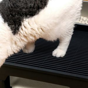 Adjustable Height <b>Cat</b> Litter <b>Mat</b> with Sand Control and Easy Clean Feature for Senior <b>Cats</b>-ABS Plastic - Product Image 1