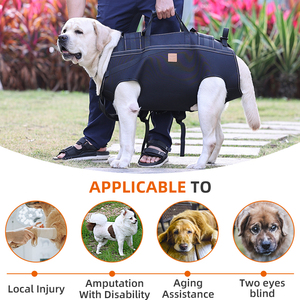 Produits créatifs réglables Harnais élévateur <span class=keywords><strong>pour</strong></span> animaux de compagnie Sac de transport <span class=keywords><strong>pour</strong></span> <span class=keywords><strong>chien</strong></span> Sac à dos de soutien d'<span class=keywords><strong>escalier</strong></span> <span class=keywords><strong>pour</strong></span> vieux grands chiens handicapés - Product Image 3