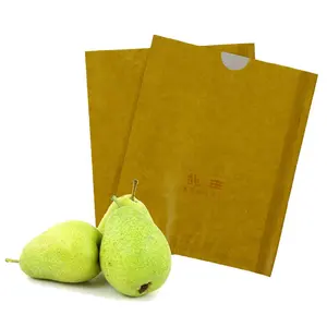 Yintong impermeable de la cubierta del bolso de bolsa de papel de pera