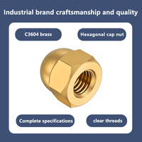 Écrou hexagonal métrique plaqué laiton C3604, écrou dôme en forme de gland, écrou hexagonal pour l'industrie lourde, quincaillerie décorative, fixation, vente en gros