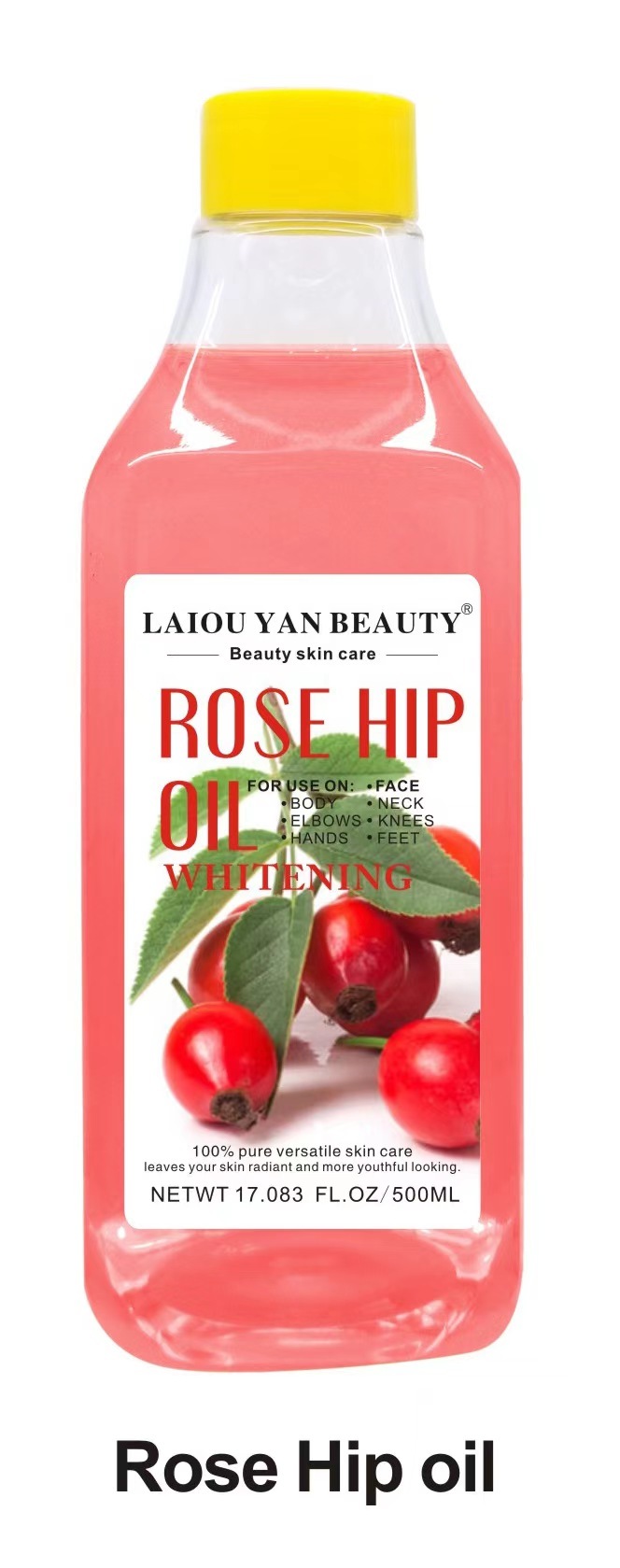 Rosa canina