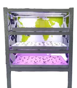 Sistema de cultivo hidrofonico Sistema de cultivo de granja micro verde de plástico móvil para lechuga y Chile con bandejas de Pvc y luces de cultivo - Product Image 1