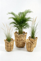 Panier de rangement festonné en jacinthe d'eau naturelle tressée artisanale, pot de fleurs en osier, porte-stylos de bureau, pour la maison