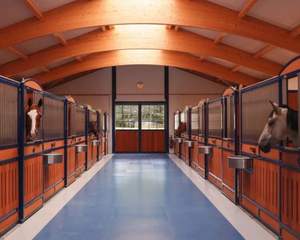 Portes d'écurie pour chevaux, de qualité supérieure, en métal noir thermolaqué et contreplaqué de bambou, pour boxes équestres. - Product Image 4