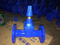 Vanne à opercule en fonte ductile GGG50 DIN3352 F5 à bride, siège rigide en métal, DN50-DN300 DN100, Pression PN10 PN16, Fabrication professionnelle