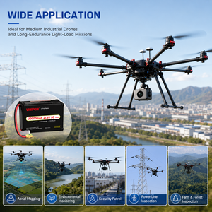 Batterie au lithium polymère haute capacité 30000mAh 21.6V 5C 320Wh/kg avec connecteur personnalisé pour drone de transport lourd, logistique VTOL UAV - Product Image 5