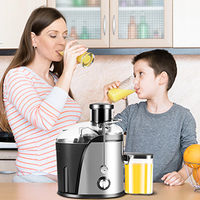 Multifunctionele 4-in-1 elektrische slowjuicer van roestvrij staal voor sinaasappels, fruit en groenten, geschikt voor commercieel gebruik