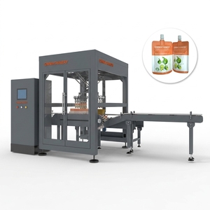 Sachet Collation and <b>Stand</b>-up Loading Into Cartons - Product Image 1