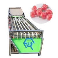 Orbitale Soort Fruit Automatische Sorteren Machine Bosbes Aardbei Raspberry Size Sorteermachine Geen Kwaad Voor Fruit Huid