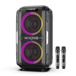 W-KING T9 Pro 120วัตต์ขนาดใหญ่เครื่องเล่นเพลงกล่องลำโพงบลูทูธที่มีสองไมโครโฟน,สนับสนุนกีตาร์อินพุต