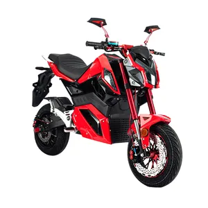 Sepeda motor listrik terlaris dengan daya tinggi 2000W untuk penggemar kecepatan