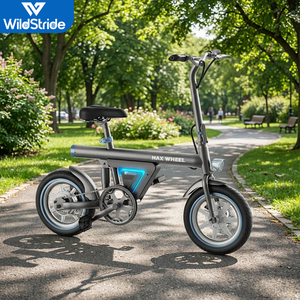 Vélo de montagne électrique 36V 350w 7.8ah E Mtb avec <span class=keywords><strong>EB9</strong></span> - Product Image 1