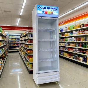 Réfrigérateur à boissons mural en acier inoxydable à refroidissement direct pour hôtel commercial 138L 178L 218L - Product Image 5