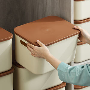 SS-B11-뚜껑이 있는 <span class=keywords><strong>B12</strong></span> 디자인 플라스틱 보관함, 손잡이가 있는 휴대용, 다기능 장난감 및 의류 방진 보관함 - Product Image 2