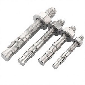 M6 M8 M10 Acier inoxydable poli 316 316L A2 A4 70 80 SUS 304 316 ANSI AISI 304 316 Boulon d'ancrage à expansion à enfiler - Product Image 1