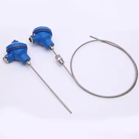 WRNK-131 à thermocouple blindé de type K, sonde de température flexible WZPK, thermomètre blindé à résistance platine Pt100