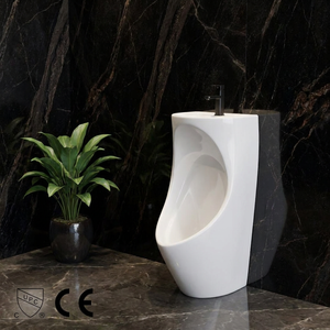 Lavabo in ceramica sanitaria sospeso a parete con maceratore integrato e stazione di lavaggio - Product Image 1