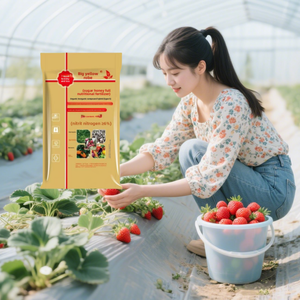 Fertilizante orgánico <span class=keywords><strong>de</strong></span> todos los nutrientes directo <span class=keywords><strong>de</strong></span> fábrica, fuente <span class=keywords><strong>de</strong></span> planta <span class=keywords><strong>de</strong></span> ácido húmico <span class=keywords><strong>de</strong></span> algas marinas NPK <span class=keywords><strong>de</strong></span> liberación lenta para cultivos agrícolas - Product Image 1