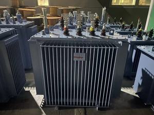 Transformador trifásico de alta tensión de 100 kVA S11, sumergido en aceite, 50 Hz - Product Image 5