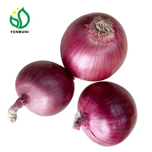 Holland Onion Preço em baixo (Cebola Vermelha, Cebola Amarela) 25 kg/saco, 5-12cm