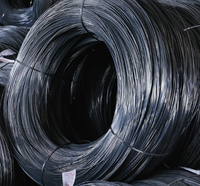 Liste de prix du fabricant de ressorts à haute teneur en carbone a parlé le fil d'acier noir