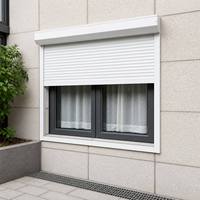 Fenêtre à volet roulant en aluminium pour villa, patio, balcon, terrasse, usage extérieur