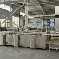 Machine de braisage continu pour poulet, canard, poisson, machine de cuisson à vapeur de type tunnel, système de cuisson automatique à convoyeur