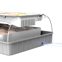 Incubateur numérique pour œufs de canard Wonegg, utilisation domestique, entièrement automatique pour cailles, poulets, canards, oies, pigeons