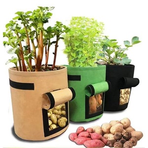Sacs de plantation pour pommes de terre et légumes <span class=keywords><strong>en</strong></span> tissu feutré, capacité 15L/25L/40L, pots de culture pour semis - Product Image 3