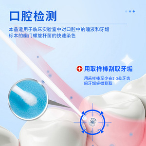 Solution de coloration pour Helicobacter Pylori, 1 portion pour l'analyse d'échantillons de tissus humains - Product Image 2