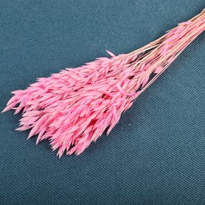 Decoración de Bodas al por Mayor, Arreglos de Flores Secas, Flores de Avena Secas Naturales Preservadas para Ramos de Flores para el Hogar, Decoración de Bodas - Product Image 6