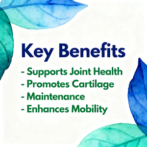 Ovita oem halal glucosamine chondroitin קפסולות ויטמין MSM גלוקוזאמין עבור סחוס ותמיכה בריאות משותפת - Product Image 3