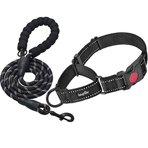 Black, Martingale Collar+Leash