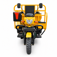 Tricycle à essence KASAKO, camion-citerne, >250cc, capacité de charge de 400 kg, certifié EEC/GCC/DOT, 50-70 km/h, pour passagers