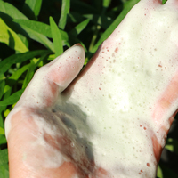 100g Nettoyant Visage à l'Argile et aux Acides Aminés de Chlorophylle, Marque Privée, Végétalien, Certifié Halal, Fabrication OEM Personnalisée